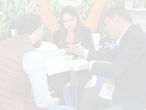 Market Insights